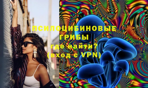 мяу мяу мука Алексин