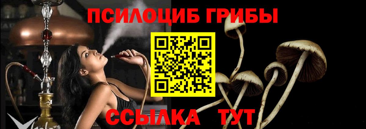 Галлюциногенные грибы GOLDEN TEACHER  магазин  наркотиков  Рубцовск  Псилоцибиновые грибы Psilocybine cubensis  Вход с VPN 